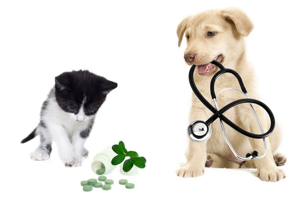 Pet Health Products